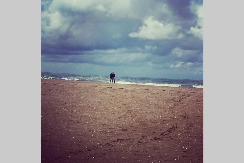 הולגאט Souplex 50M De La Plage Et Des Commerces מראה חיצוני תמונה